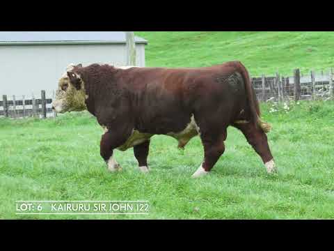 Lot 6   KAIRURU SIR JOHN 122