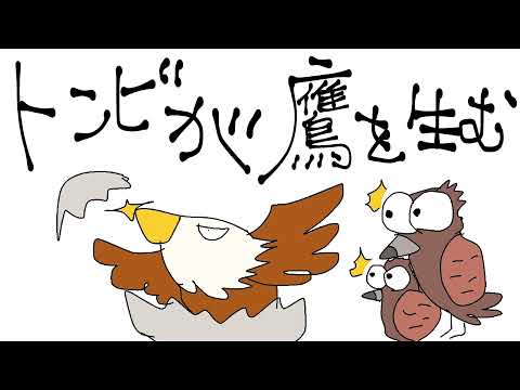 トンビが鷹を産む　耳で覚えることわざ　3分でわかることわざ慣用句 A kite gives birth to a hawk