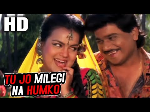 Tu Jo Milegi Na Humko | Sudesh Bhosle, Alka Yagnik | Aadmi Khilona Hai 1993 Songs | Laxmikant Berde