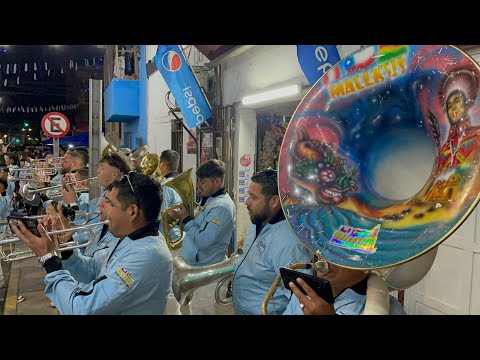 🎺🩵🤍🤎Mallkus Banda Internacional al Ritmo de Gitanos ~ Tirana Chica Iquique 2024🎺🩵🤍🤎