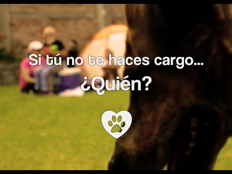 Si tú no te haces cargo... ¿Quién?  versión2