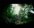 Jennifer Lopez - Waiting For Tonight Jonathan ...