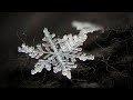 GIANT Snowflakes ️ Shorts
