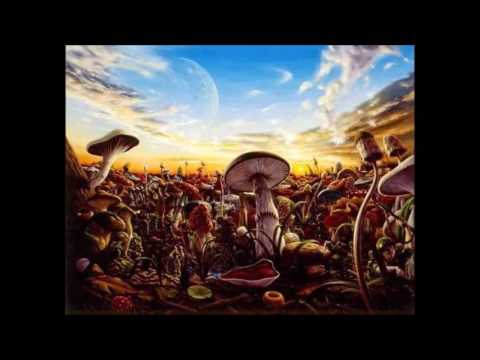 Live Mix by Godi DJ Fabio & Moon NOK Morten Granau Interactive Noise FM Day Din Sideform Synesthetic