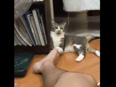 Hey baby, lo senti anche tu quest'odore...?