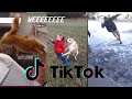 WEEEEEEEEE The Obada Weeeeeee TikTok Compilation