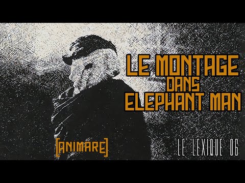 Le Montage d'ELEPHANT MAN - LEX06
