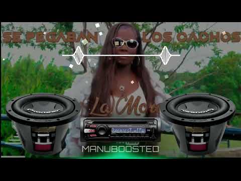 Se Pegaban Los Cachos Yolis La Morenaza Del Vallenato BASS BOOSTED
