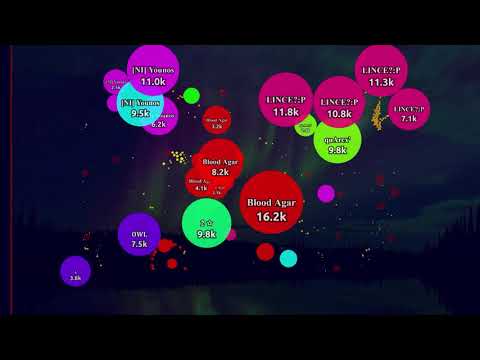 Vanis.io Game over - BLD