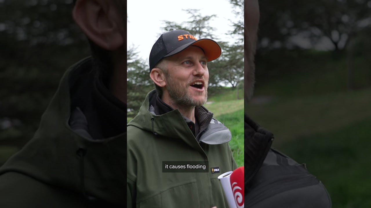 Wellington Grants Nine Parks Permanent 'Low Mowing' Status to Double Biodiversity