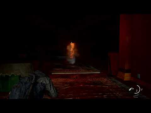 I bug quelli belli -The Last of Us™ Parte II