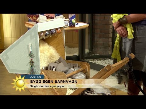 Ulrika byggde sin egen barnvagn - Nyhetsmorgon (TV4)