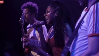 The Go! Team - She&#39;s Got Guns (Live on PressureDrop.tv)