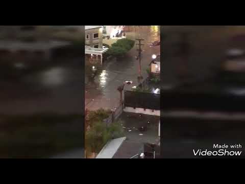 BASURA SIN CENSURA..