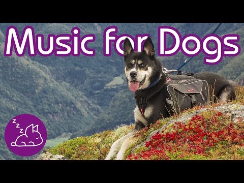 How To Relax Your Dog: INSTANT Relaxation Music for Your Pup! (2019)