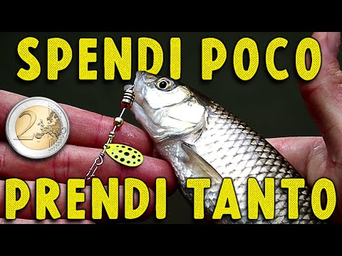 The best Spinning Lure is worth 2€! Spinning Low Cost