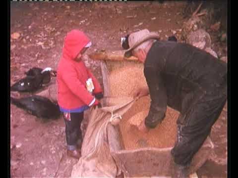 Lo boièr