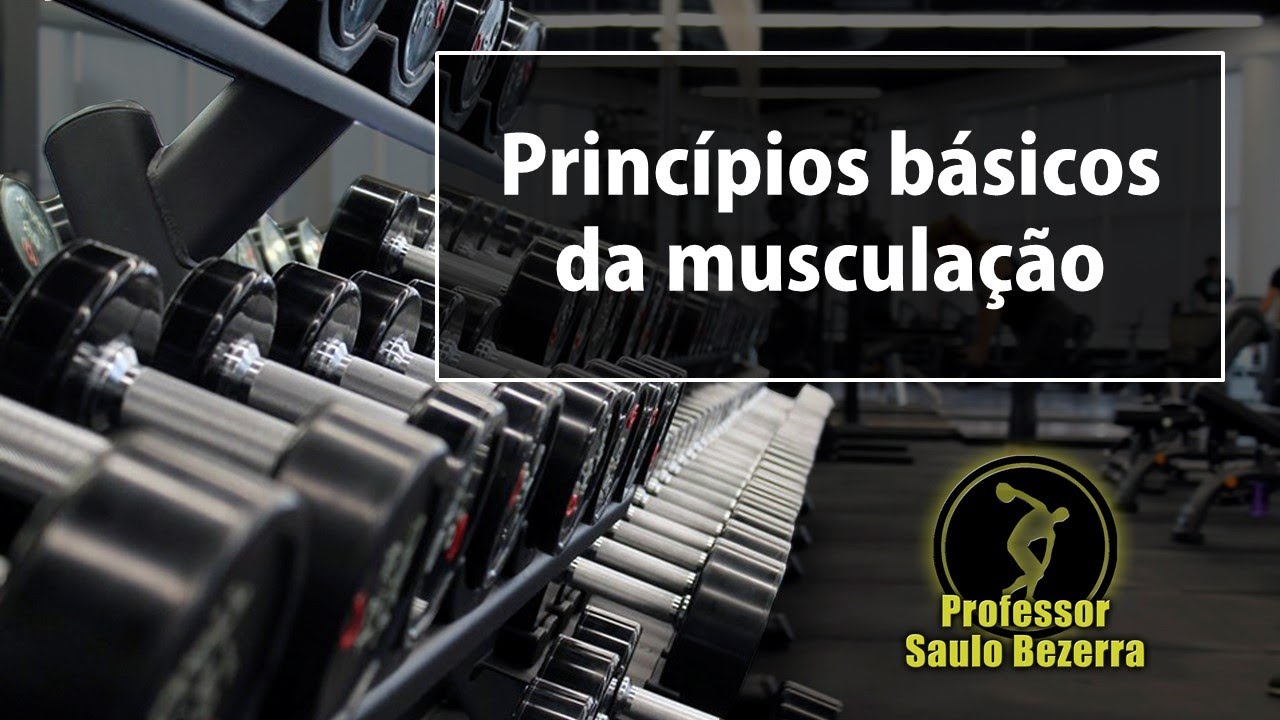 Princípios Básicos da Musculação