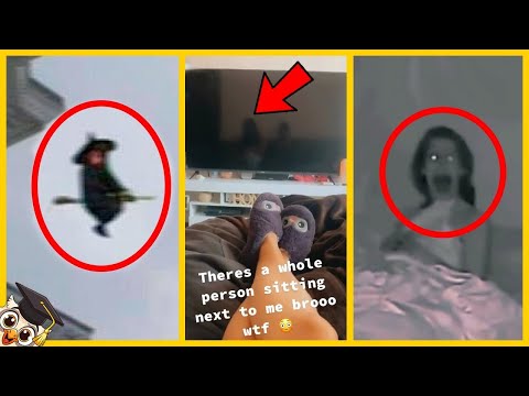 30 TikTok Videos Worth Watching Before They Get Banned