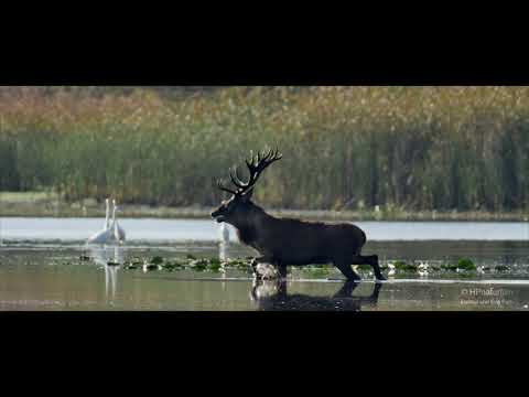 Herbstzeit in der Lausitz