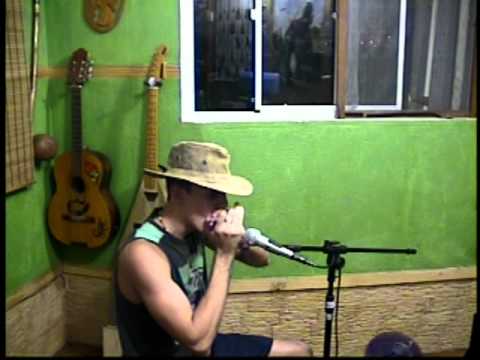 Train na gaita diatônica