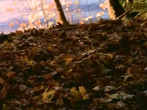 Night Visions S01E08 Bitter Harvest, My So Called Life and Death