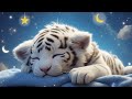Sleep In 1 Minute Mozart Brahms Lullaby