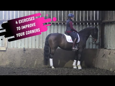 4 Exercises To Help Improve Your Corners In Dressage