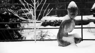 Coliseum "Sunlight In A Snowstorm" Official Video