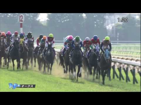 優駿牝馬 2016(2400m)THE YUSHUN HIMBA 2016