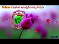 QUOTES Good Morning Video