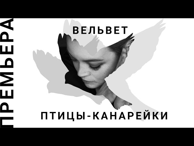Вельвет - Птицы-Канарейки
