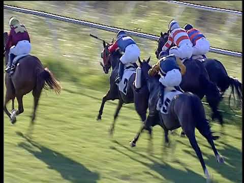 Galoppo 03/08/2019 - 1ª corsa