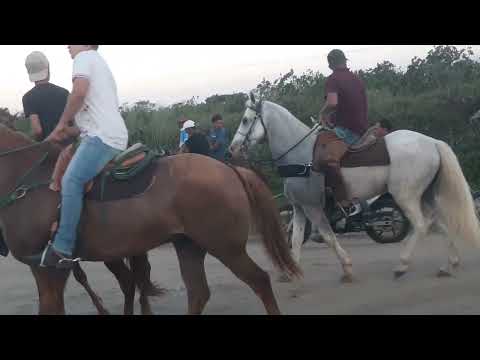 Vamos de cavalgada! Em monteiropolis AL 31-05-2026