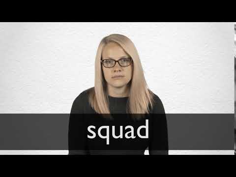 SQUAD Synonyms | Collins English Thesaurus
