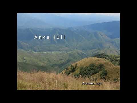 ANCA JULI - Anselmo Lago