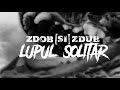 Zdob si Zdub - Lupul Solitar (Bestiarium 2020)