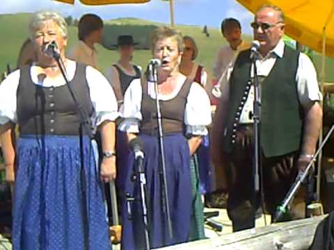 toberer viergesang almfest stoakoglhüttn