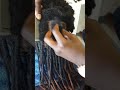 Fresh Dreadlocks
