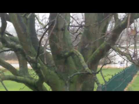 Castleford   Flooding