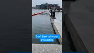 King tide splashes over in Boston