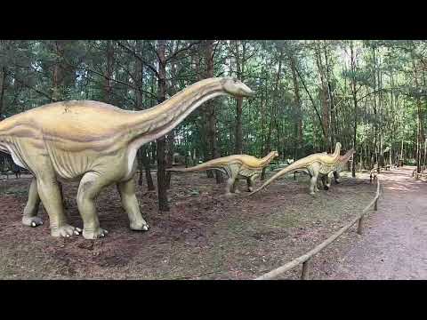 PARK DINOZAURÓW NOWYNY WIELKIE