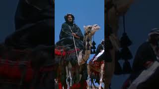 Be quiet the camel is listening 🐪 #lawrenceofarabia #classiccinema #silverscenes