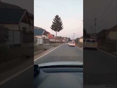 Úton melóból hazafelé! | On the way home from work! | Ig: joe_havran