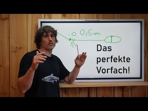 The LEADER for PERCH and ZANDER!