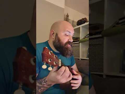 One Last Time - Ariana Grande (Ukulele Cover)