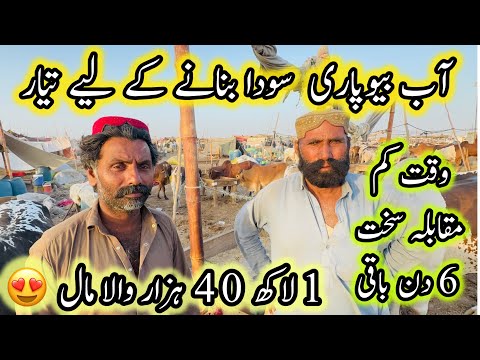 1 Lakh 40 Hazar Wala Maal 😍| Northern Bypass Mandi | Cow Mandi 2026
