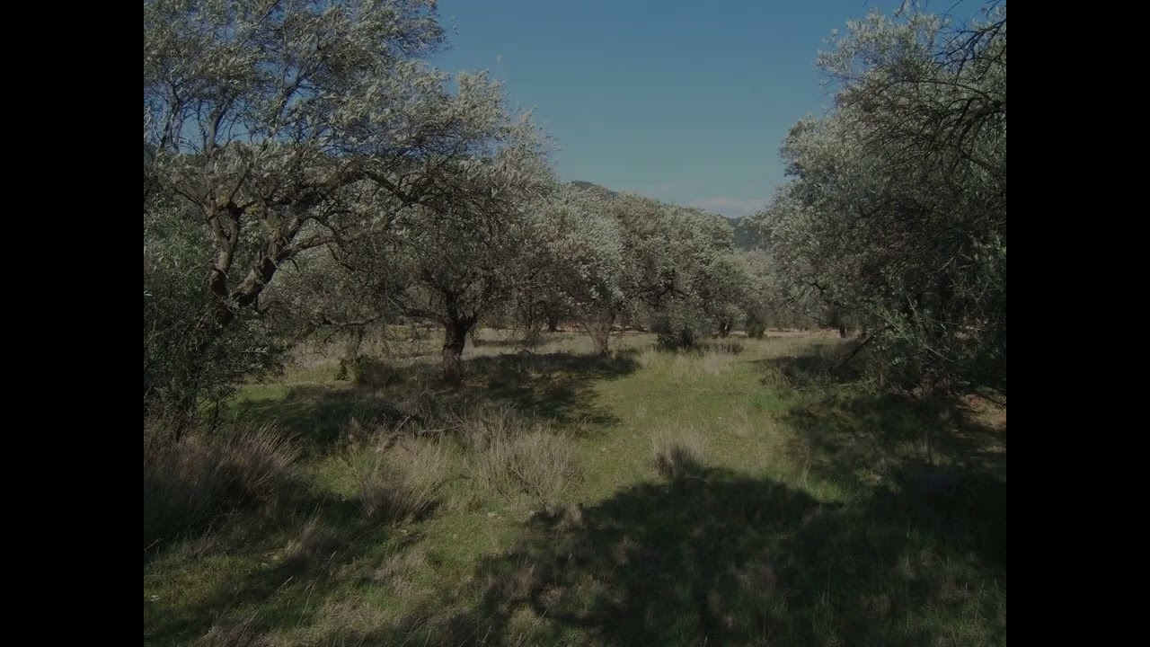 Parcella in vendita a Paüls - 1020