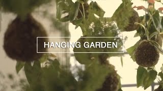 DIY Hanging String Garden - Green Renaissance