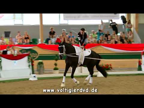Philipp Stippel (GER) - FEI Junior WC Ebreichsdorf 2017 - Male 03